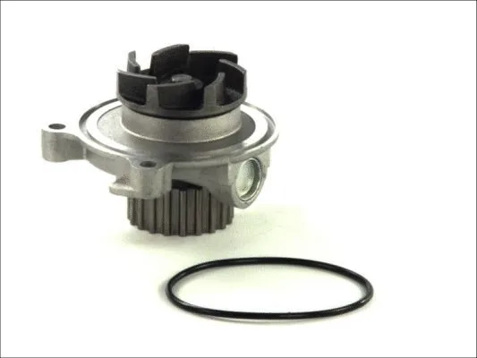 Water Pump, engine cooling (D1A027TT)
