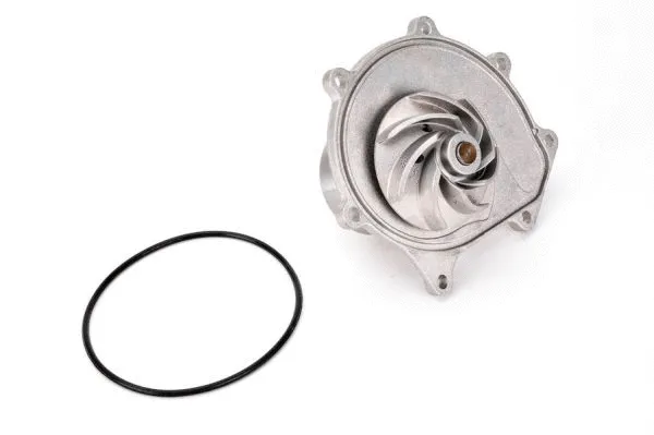 Water Pump, engine cooling (D1K017TT)