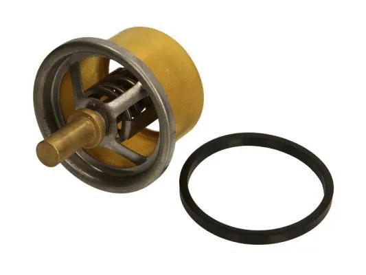 Thermostat, coolant (D2DA004TT)