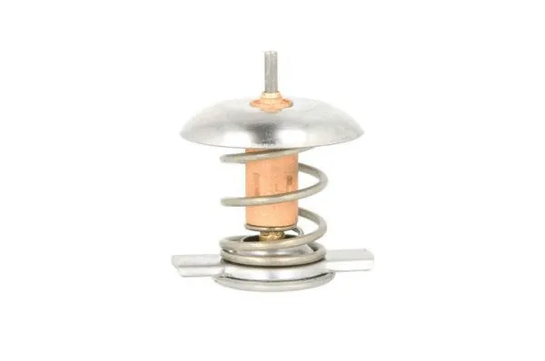 Thermostat, coolant (D2X006TT)