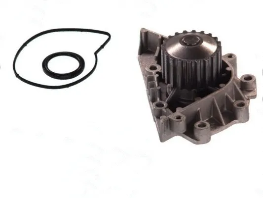 Water Pump, engine cooling (D1P042TT)