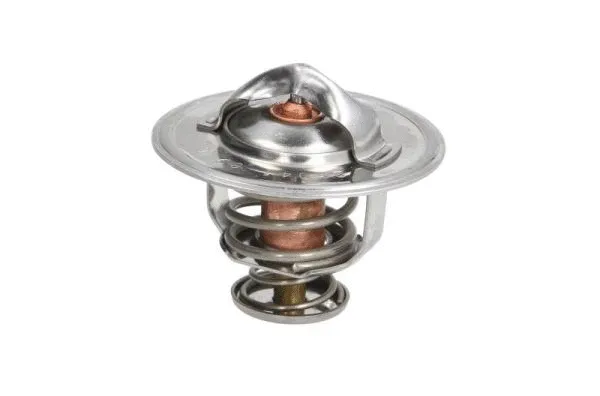 Thermostat, coolant (D2X003TT)