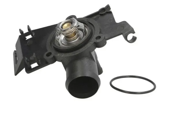 Thermostat, coolant (D2S002TT)