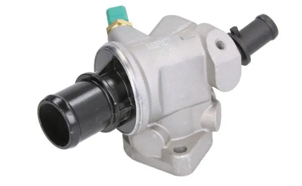 Thermostat, coolant (D2F004TT)