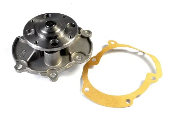 Water Pump, engine cooling (D1X049TT)