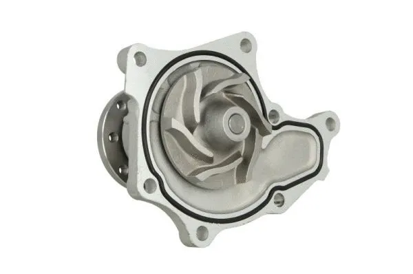 Water Pump, engine cooling (D19024TT)