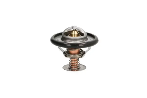Thermostat, coolant (D2C002TT)