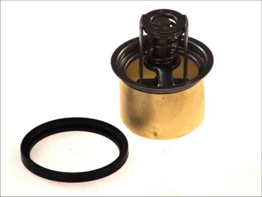 Thermostat, coolant (D2RV001TT)