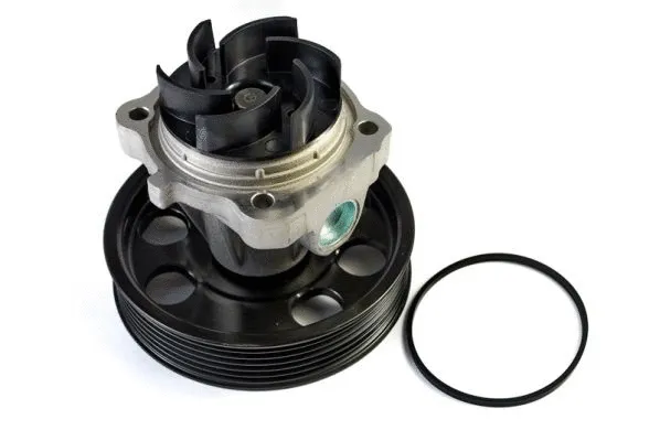 Water Pump, engine cooling (D1F074TT)