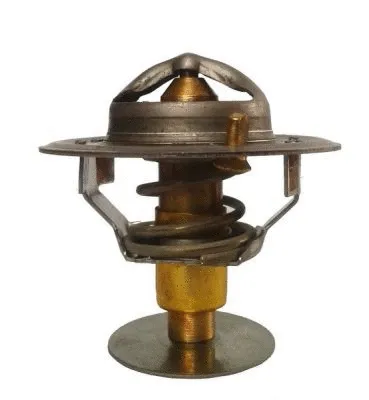 Thermostat, coolant (D2PE003TT)