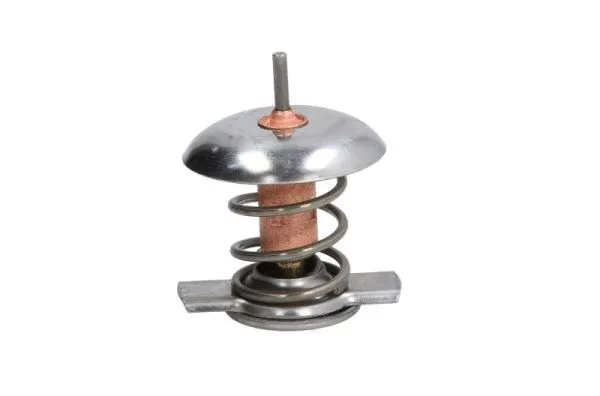 Thermostat, coolant (D2X005TT)