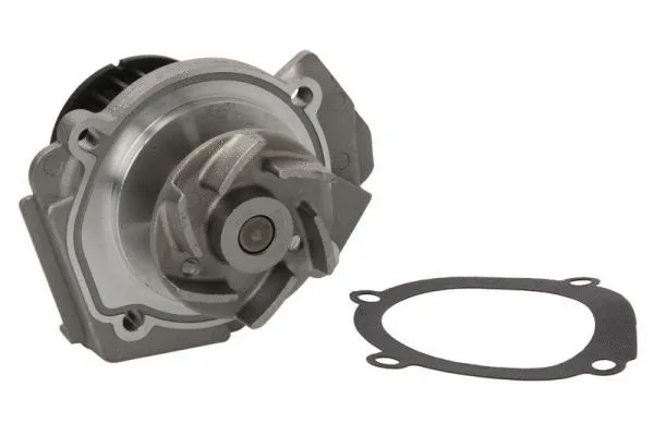 Water Pump, engine cooling (D1F072TT)