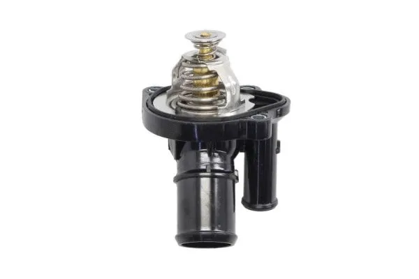 Thermostat, coolant (D2G014TT)