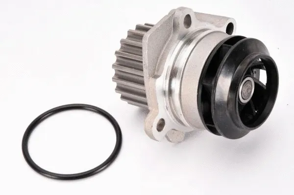 Water Pump, engine cooling (D1W049TT)