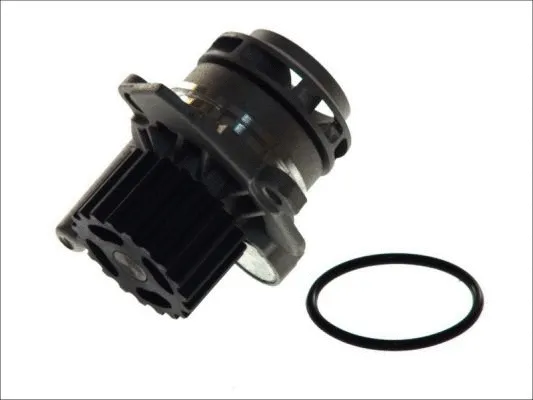 Water Pump, engine cooling (D1W039TT)