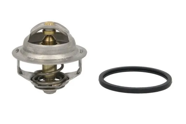 Thermostat, coolant (D2IV003TT)