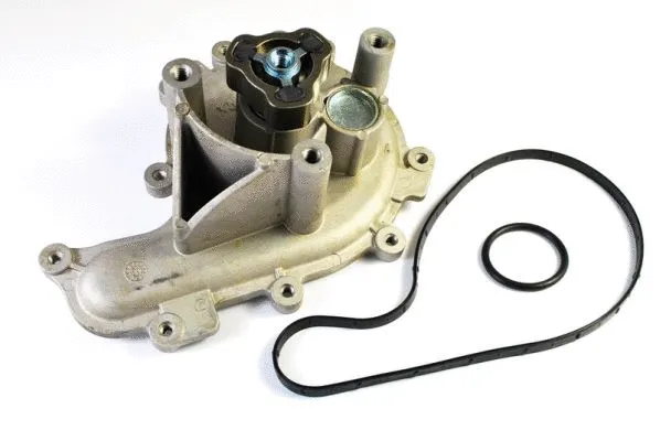 Water Pump, engine cooling (D1P041TT)