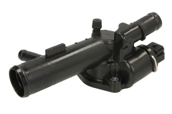 Thermostat, coolant (D2R009TT)