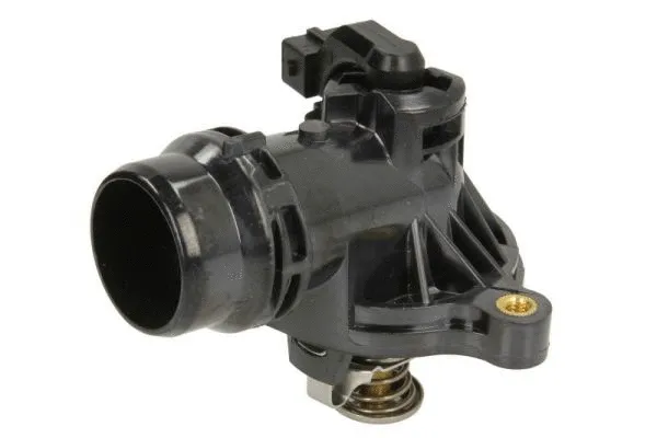 Thermostat, coolant (D2B005TT)