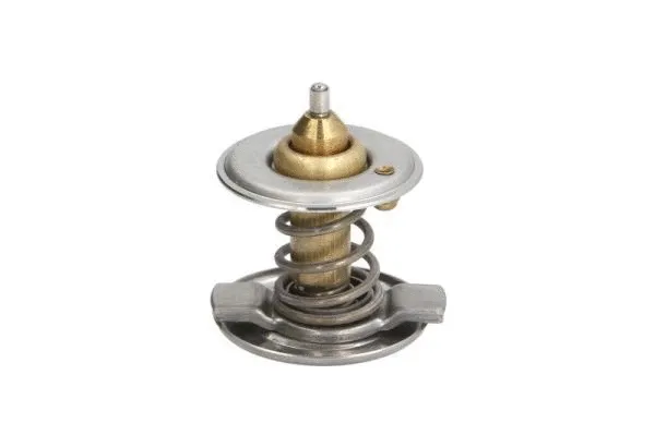 Thermostat, coolant (D2M001TT)