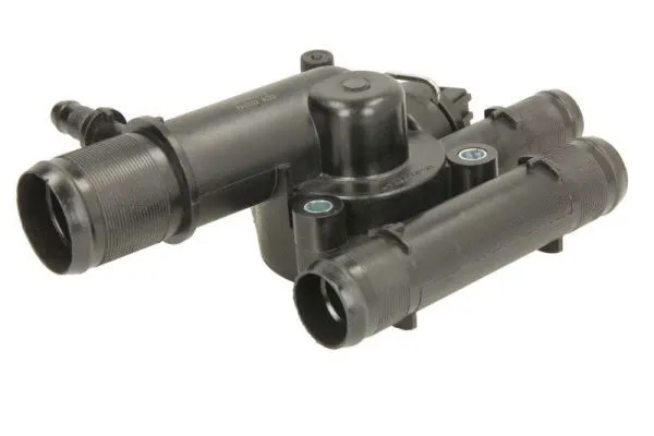 Thermostat, coolant (D21002TT)