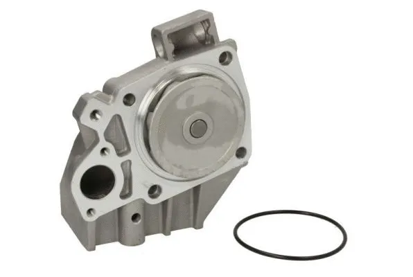 Water Pump, engine cooling (D1F041TT)