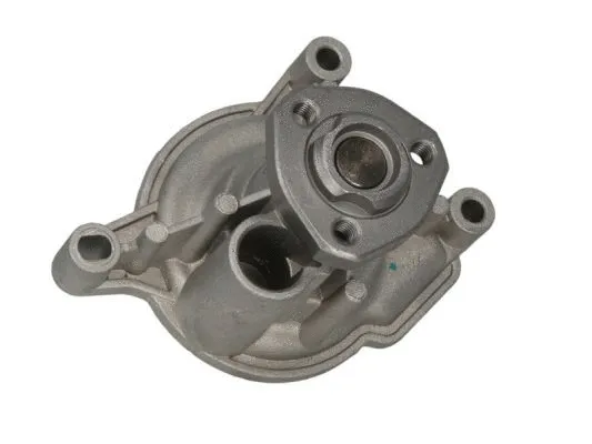 Water Pump, engine cooling (D1W053TT)
