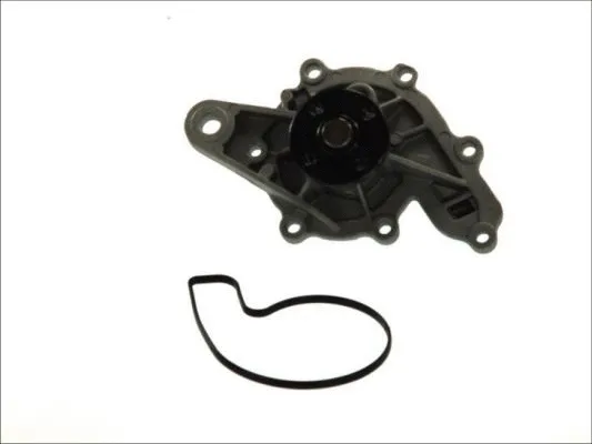 Water Pump, engine cooling (D1M043TT)