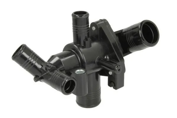 Thermostat, coolant (D2G012TT)