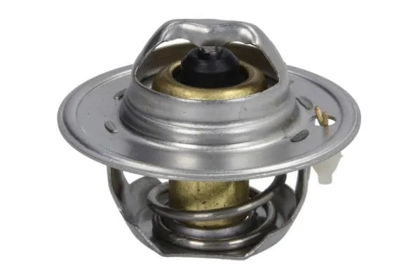 Thermostat, coolant (D2AG006TT)