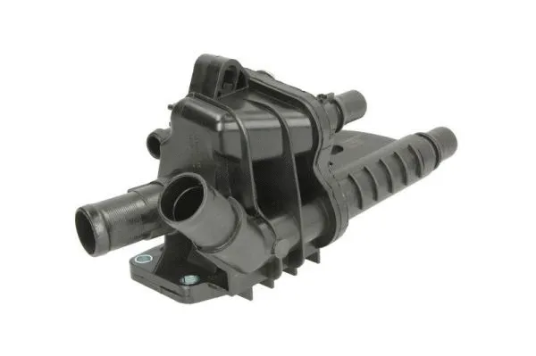Thermostat, coolant (D2C013TT)