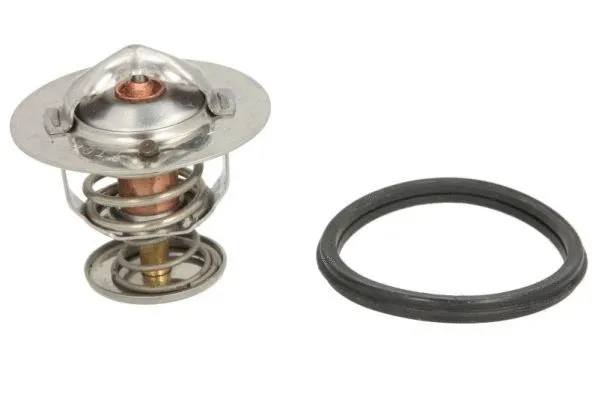 Thermostat, coolant (D24001TT)