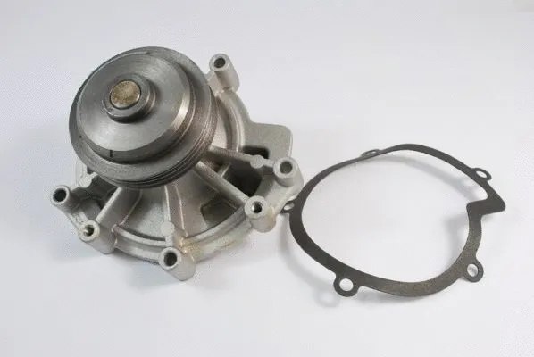 Water Pump, engine cooling (D1P023TT)
