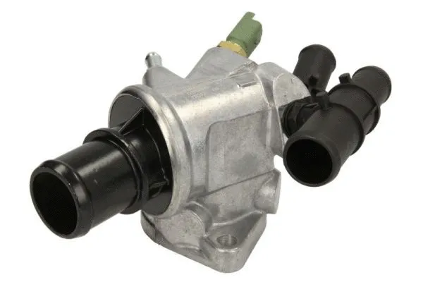 Thermostat, coolant (D2F006TT)