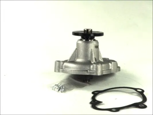Water Pump, engine cooling (D1X034TT)