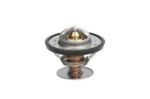 Thermostat, coolant (D2G001TT)