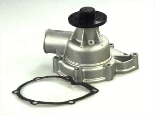 Water Pump, engine cooling (D1B010TT)