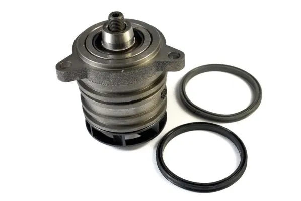 Water Pump, engine cooling (D1W041TT)