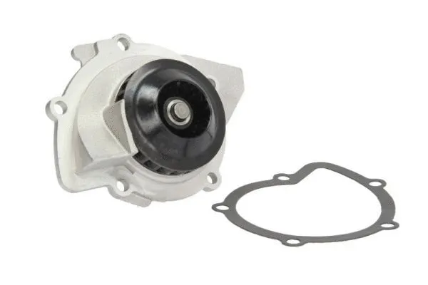 Water Pump, engine cooling (D1P048TT)