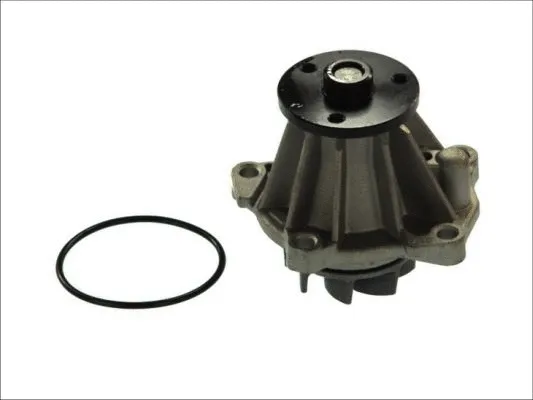 Water Pump, engine cooling (D1G033TT)
