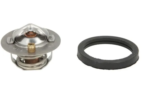 Thermostat, coolant (D2G005TT)