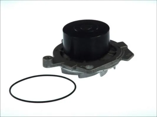 Water Pump, engine cooling (D1F055TT)