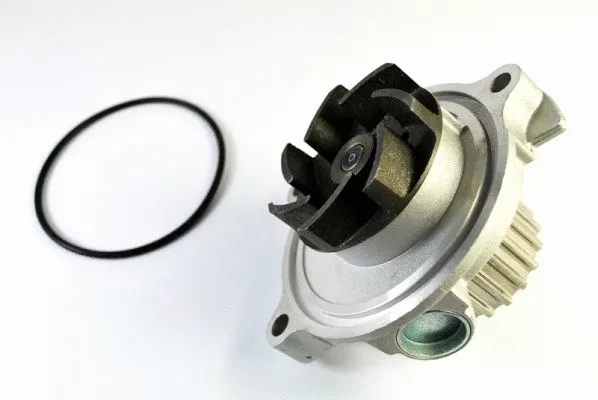 Water Pump, engine cooling (D1A016TT)