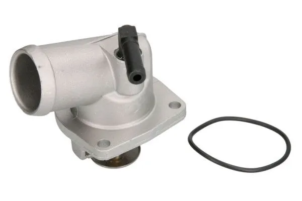 Thermostat, coolant (D2X019TT)