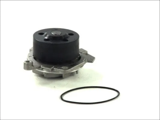 Water Pump, engine cooling (D1D019TT)