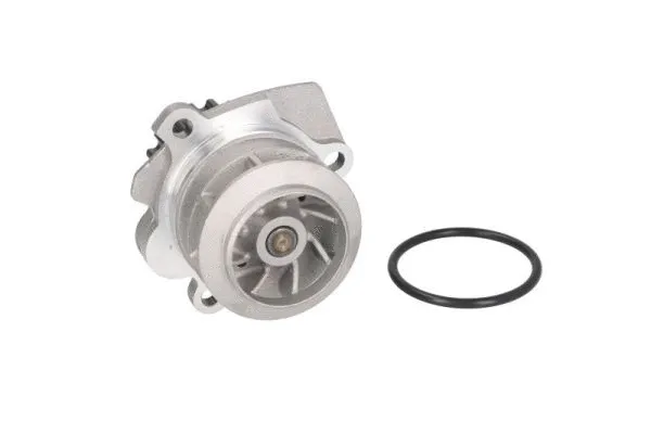 Water Pump, engine cooling (D1W058TT)