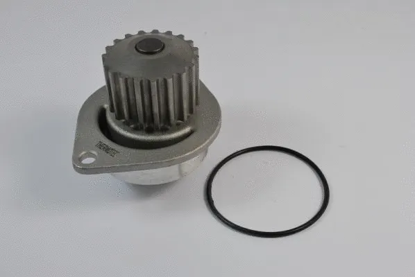 Water Pump, engine cooling (D1P010TT)