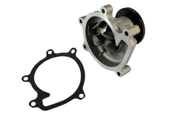 Water Pump, engine cooling (D12074TT)