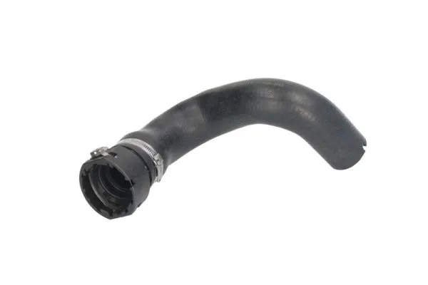 Radiator Hose (DWF073TT)