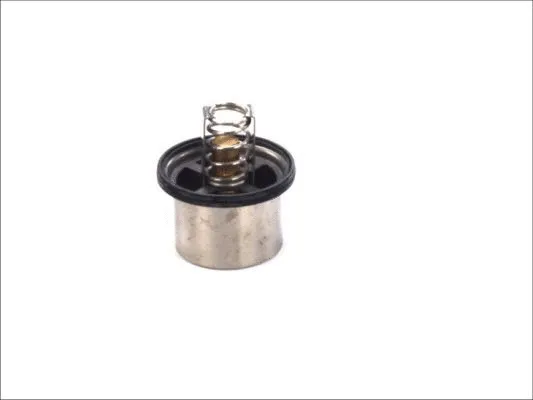 Thermostat, coolant (D2VO002TT)
